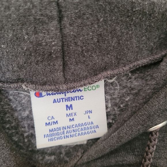 CHAMPION Harvard Hoodie Size M Gray Sweatshirt Academia Preppy Collegiate - Picture 4 of 12